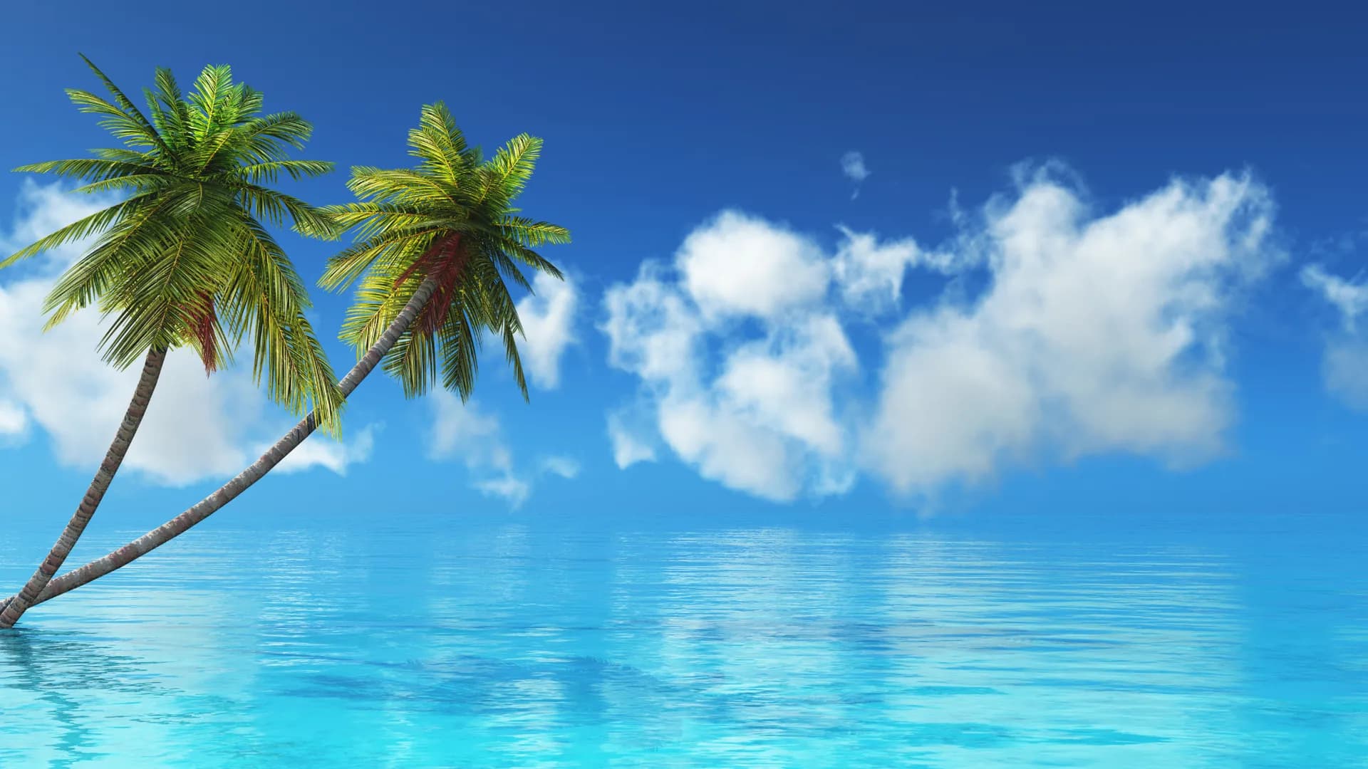 Tropical beach destination