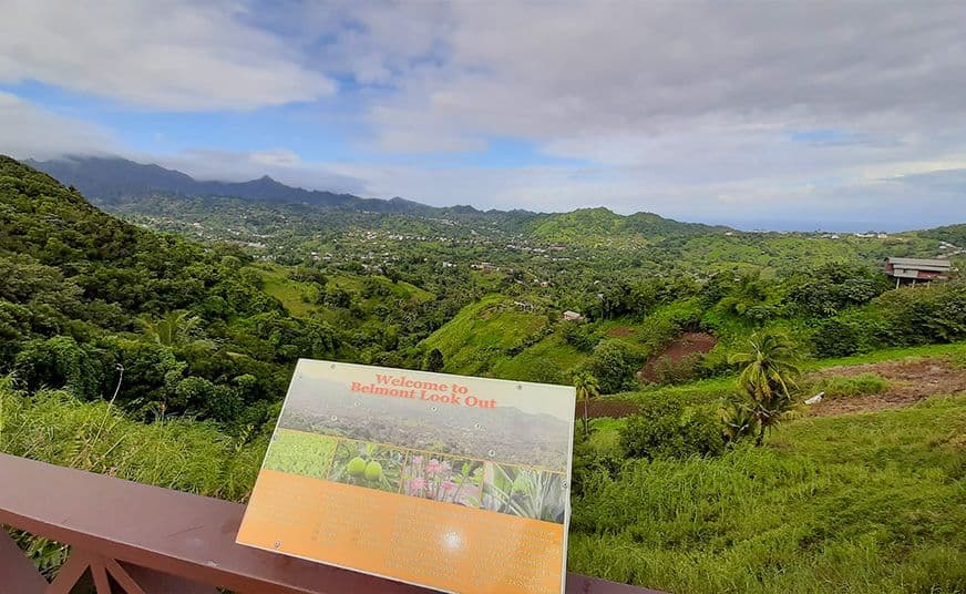 Belmont Lookout