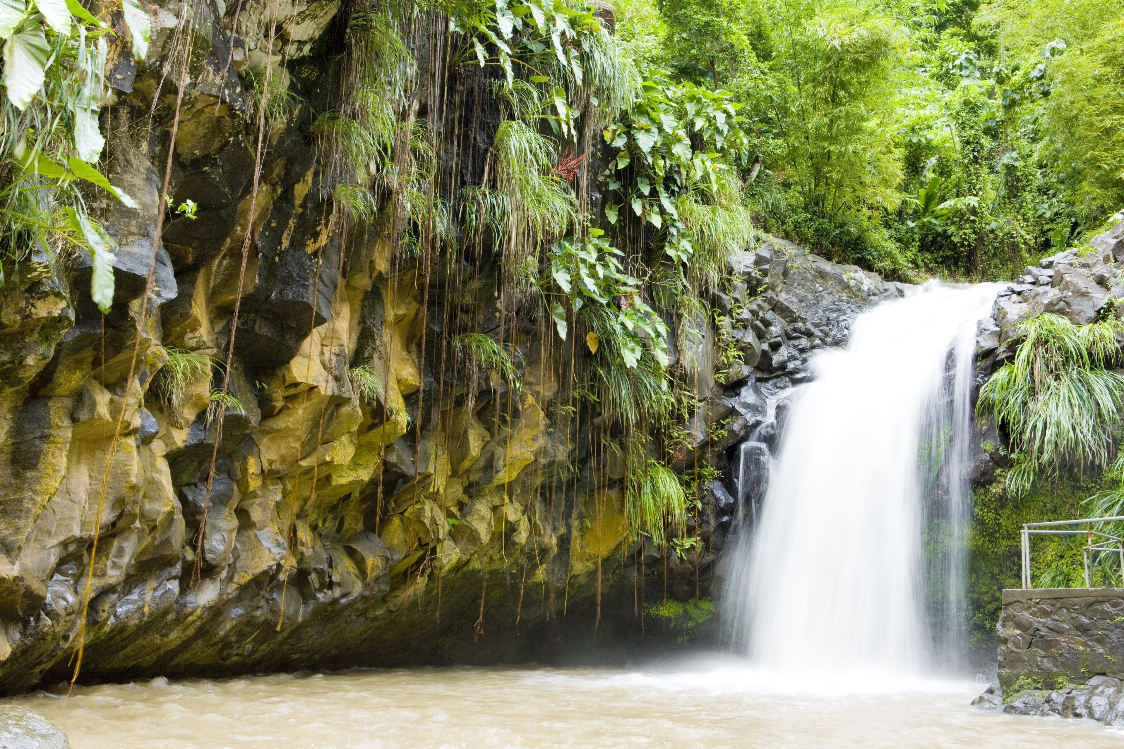 Annandale Waterfall & Forest Park
