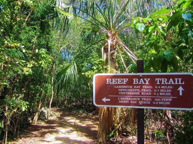 Reef Bay Trail