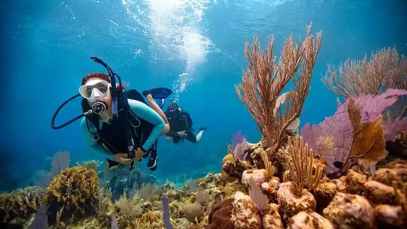 Brac Scuba Shack