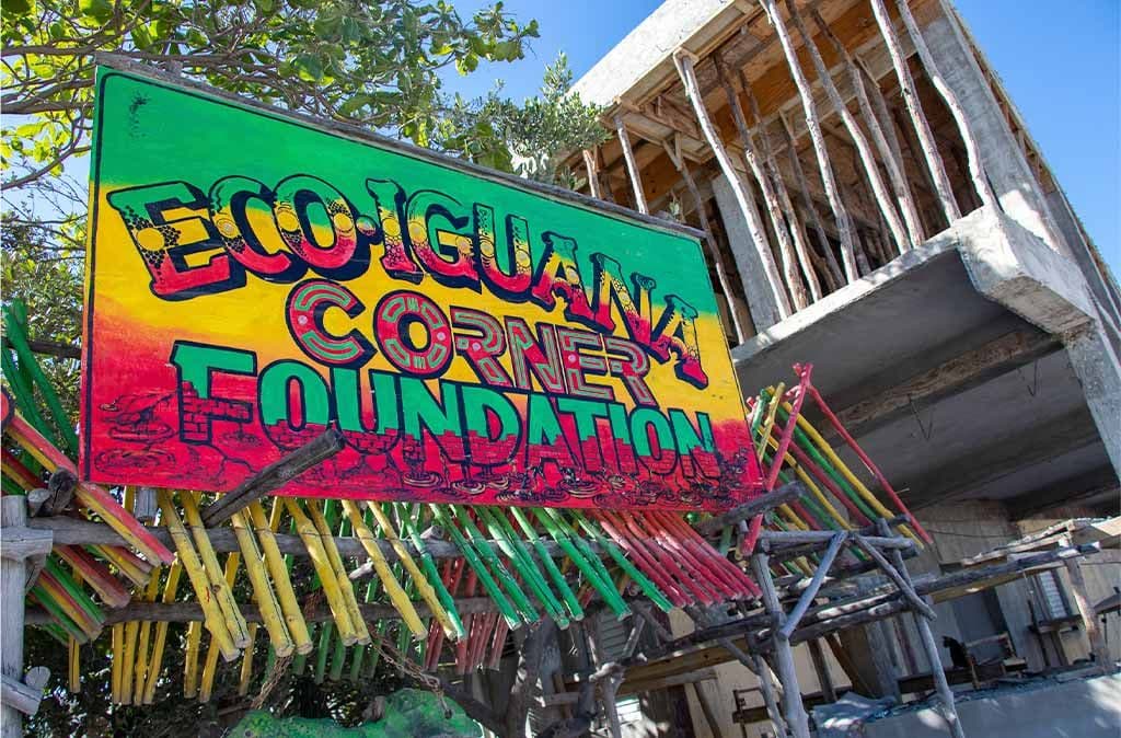 Iguana Eco Corner