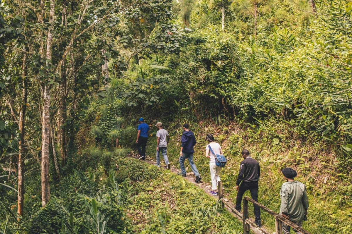 Hiking Trail