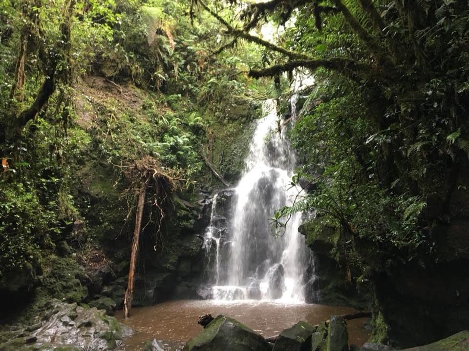 Refugio de Vida Silvestre Cerro Dantas